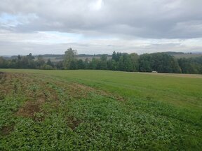 Prodej louky o výměře 15200 m2 v obci Nekoř, okr. Ústí n.O.