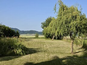 Pozemek 2 019 m² se starším domem 2+1 (85 m²), Kněžice u Železných hor.