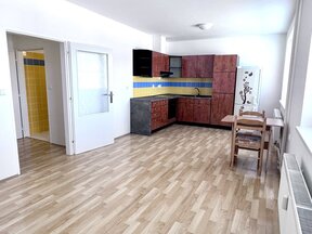 Dlouhodobý pronájem prostorného bytu 1kk,  v klidné lokalitě obce Hlinska.